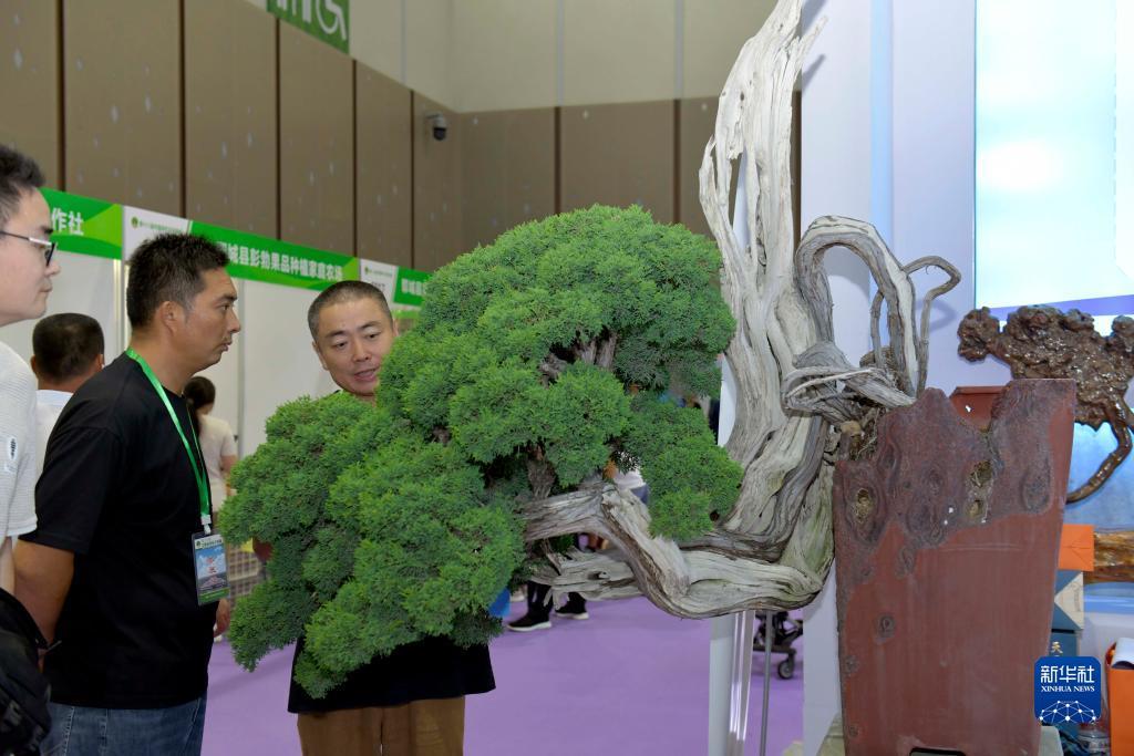 德丰利达最新消息